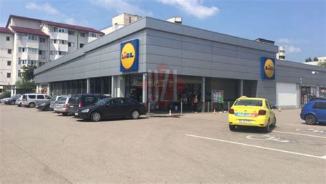 lidl nicolina